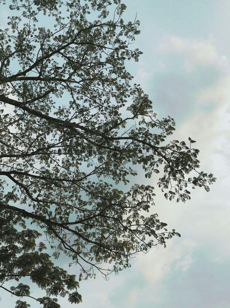 高校生向け大学準備コース